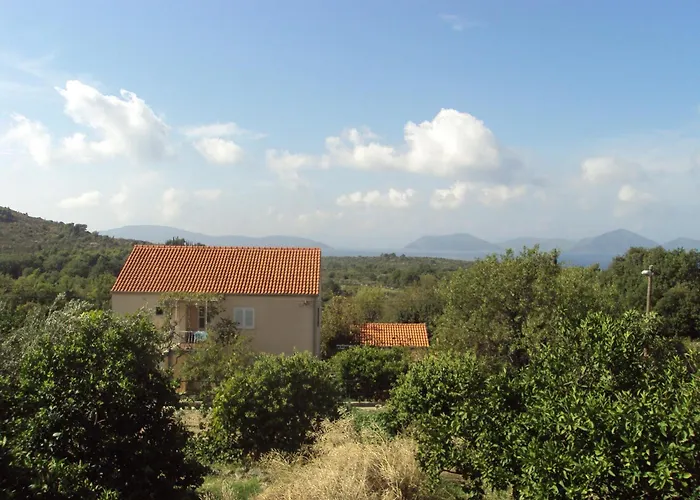 Apartments Jelic