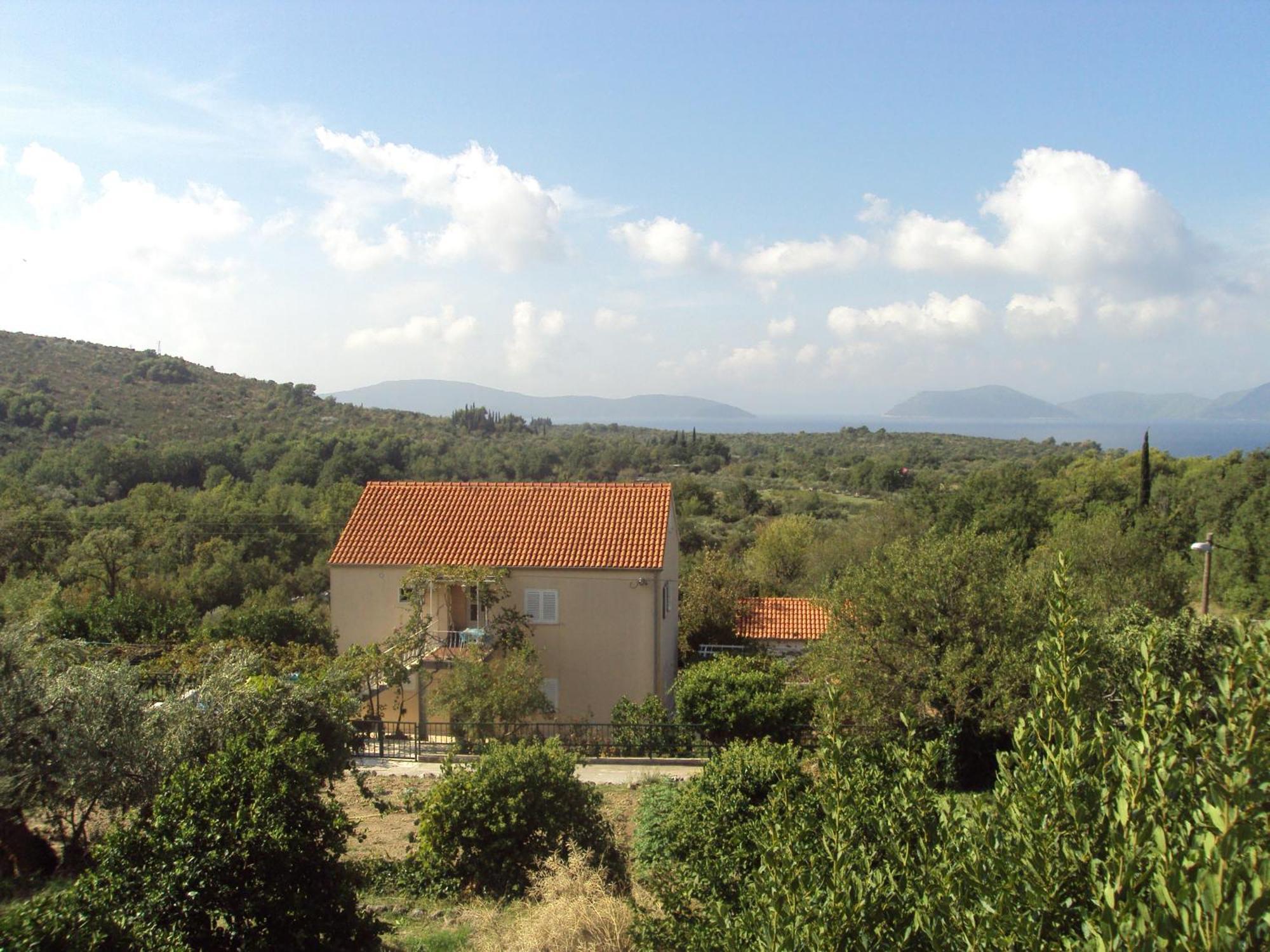 Jelic Banici