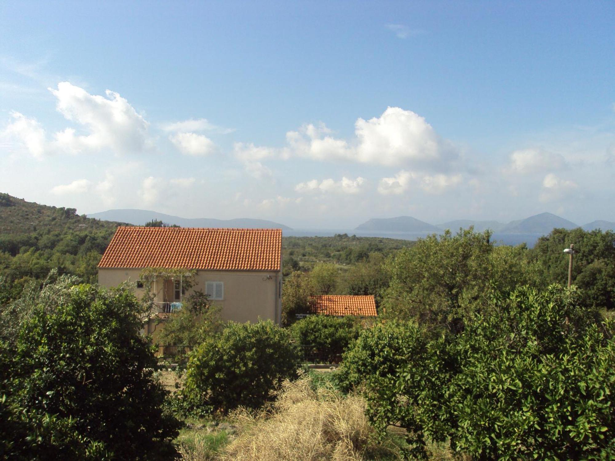 Jelic Apartment
