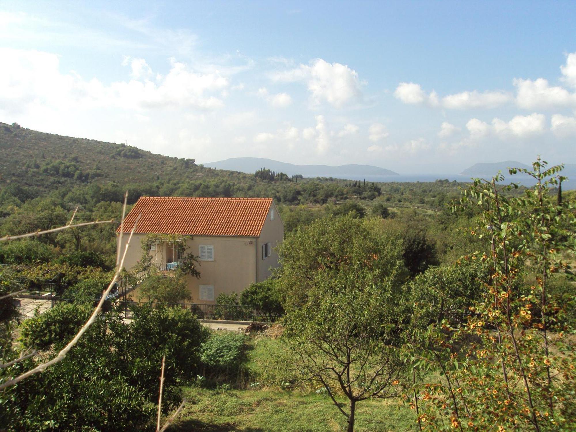 Jelic Banici